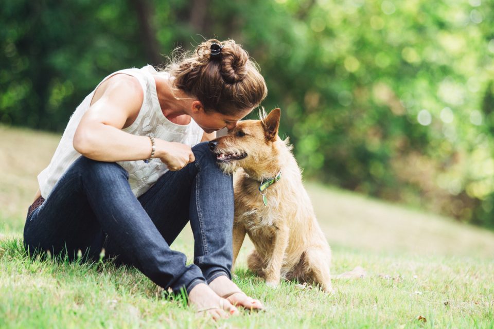 Pick a Pooch in Omaha, NE Visit O' Daniel Honda Omaha Today!